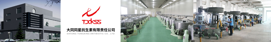 Datong Tongxing Antibiotic Co., Ltd.